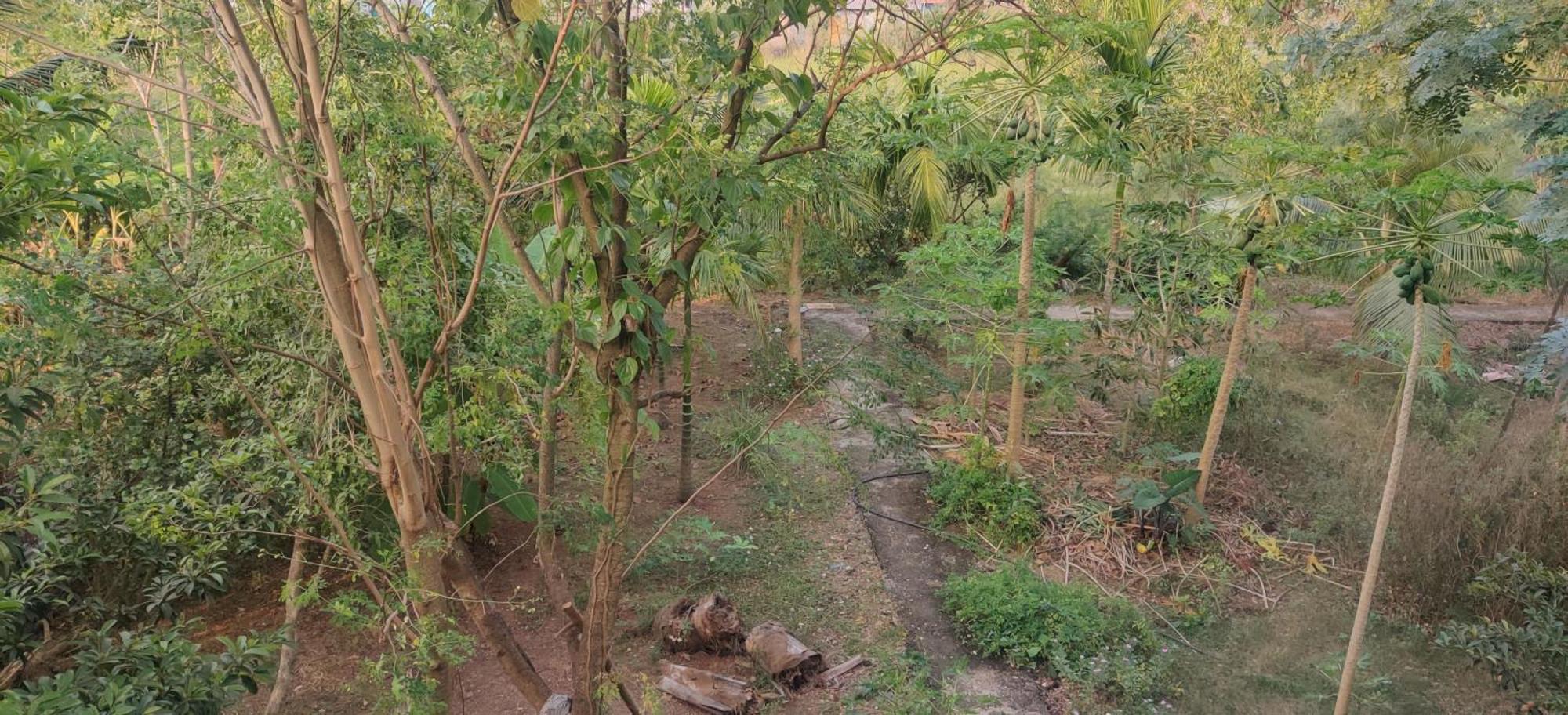 Gulmohar Cottages - Home Stay In Alībāg Exterior photo